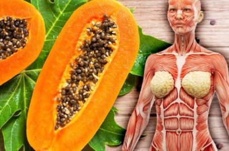 Tak Sangka! Hebatnya Buah Betik Pada Kesihatan