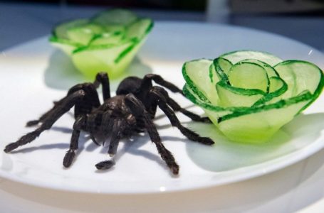 Makan Span Basuh Pinggan? Eeee Sedap Ke?